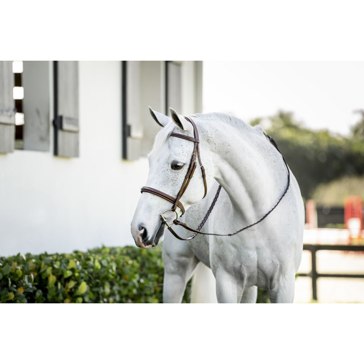 Horseware Briglia Pony Hunter Cavesson con Riens Dark Tan