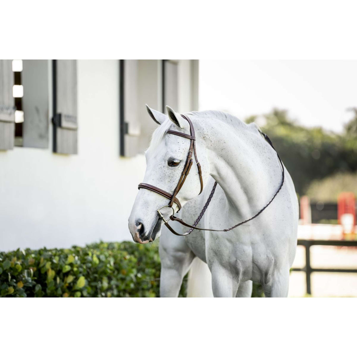 Horseware Briglia Pony Hunter Cavesson con Riens Dark Tan