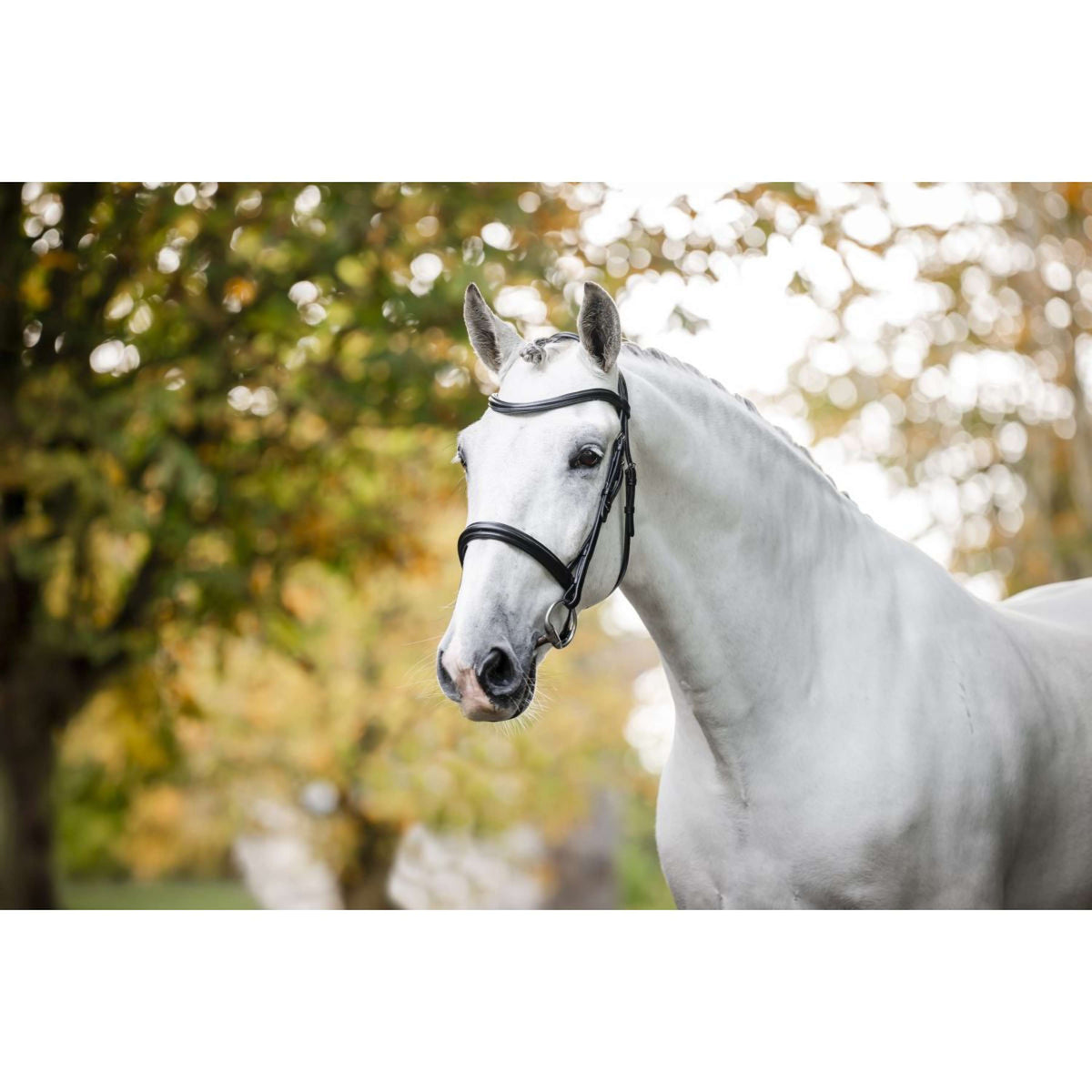 Horseware Briglia Cavesson Nero