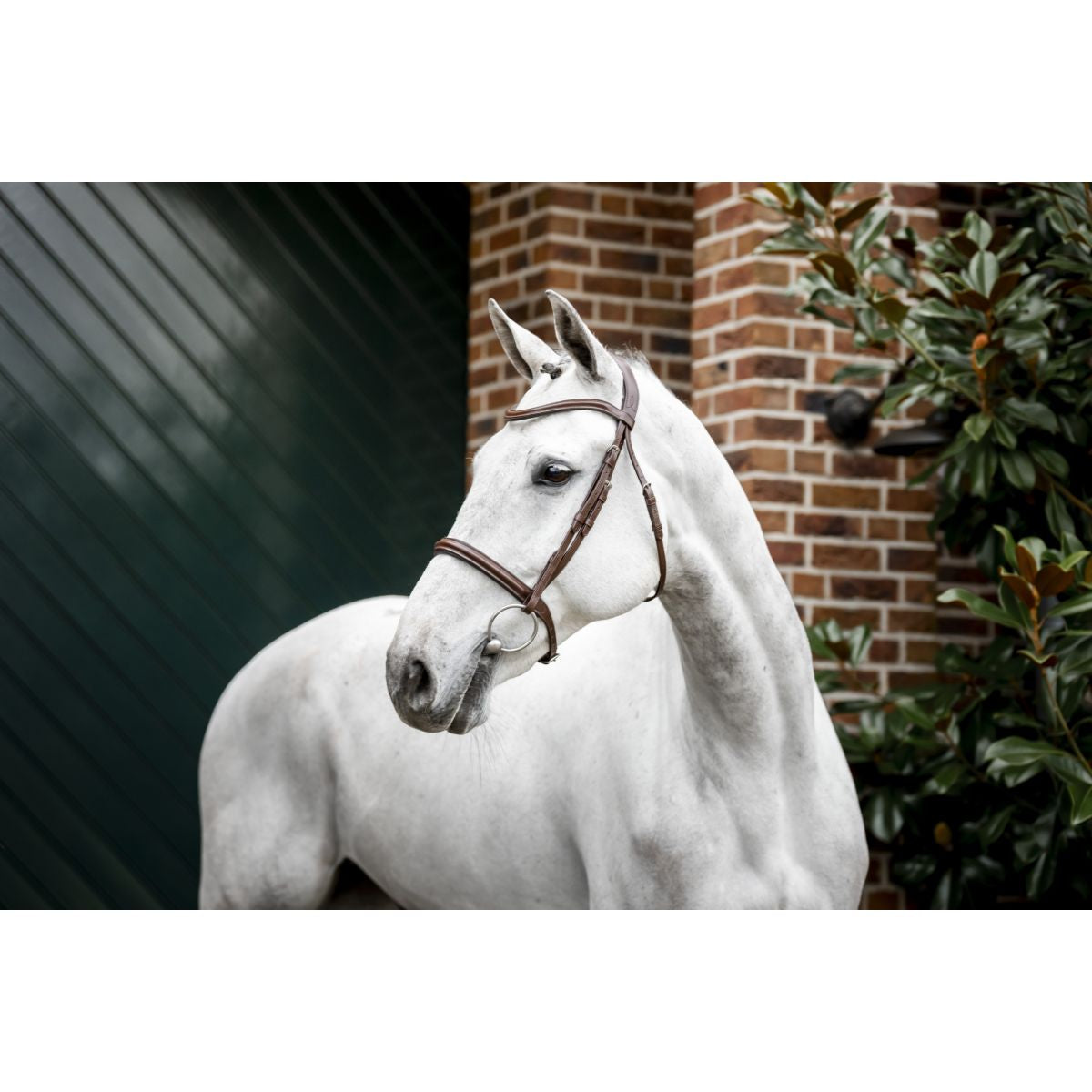 Horseware Briglia Cavesson Marrone