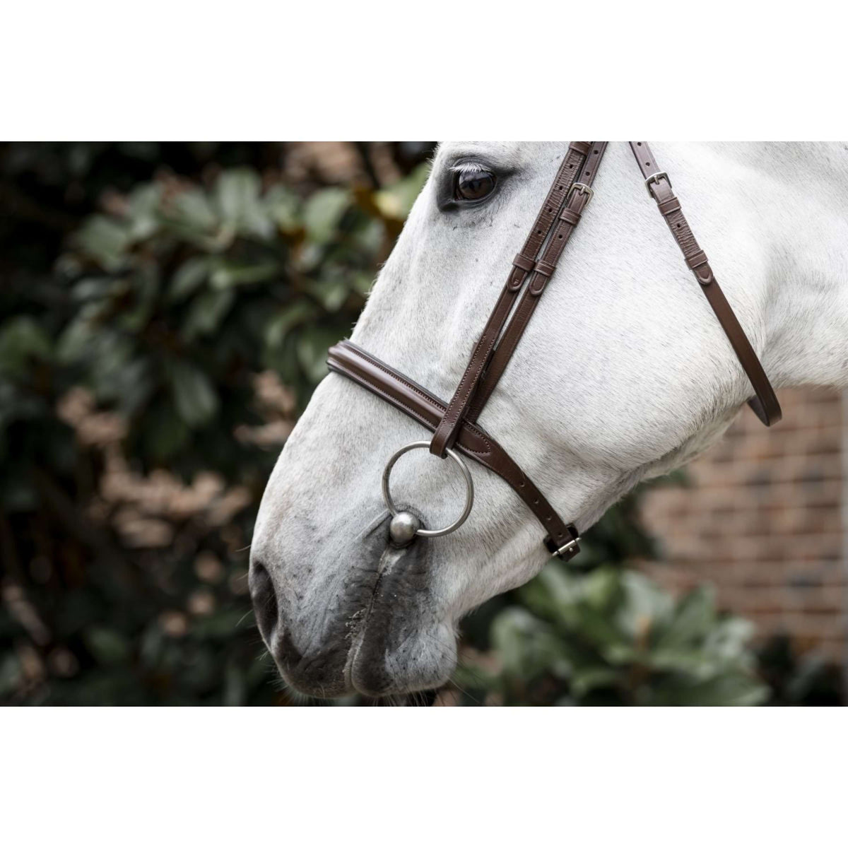 Horseware Briglia Cavesson Marrone