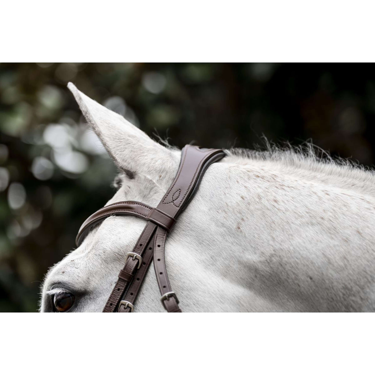 Horseware Briglia Cavesson Marrone