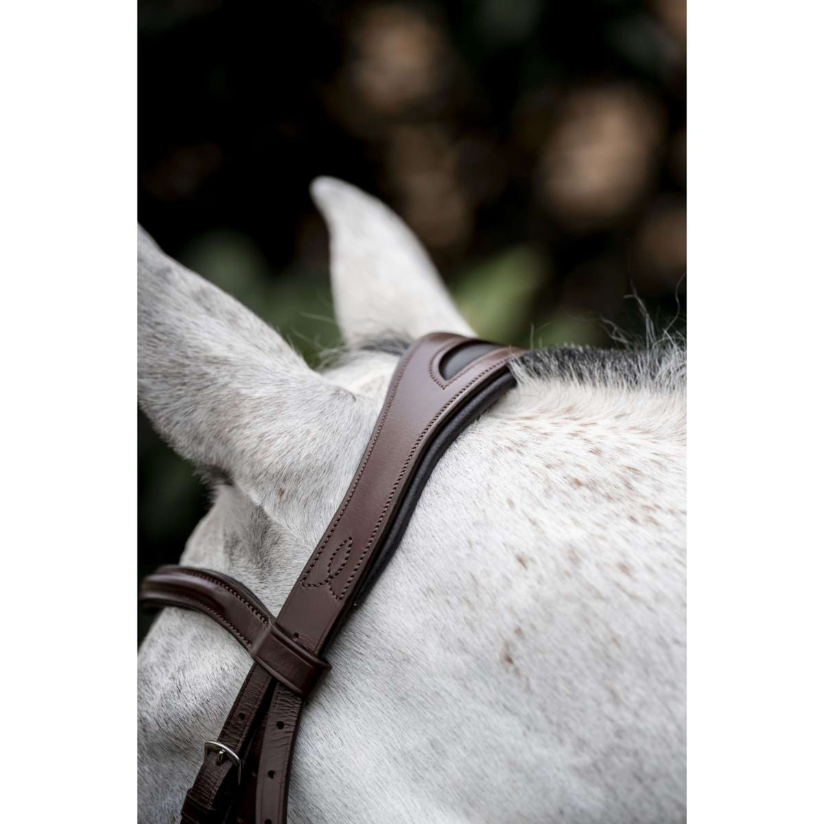 Horseware Briglia Cavesson Marrone