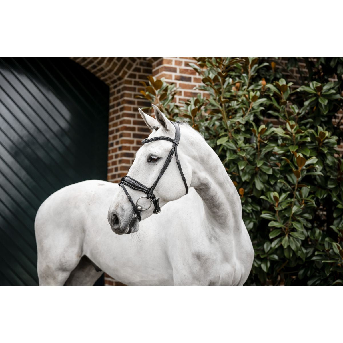 Horseware Briglia Diamante Nero
