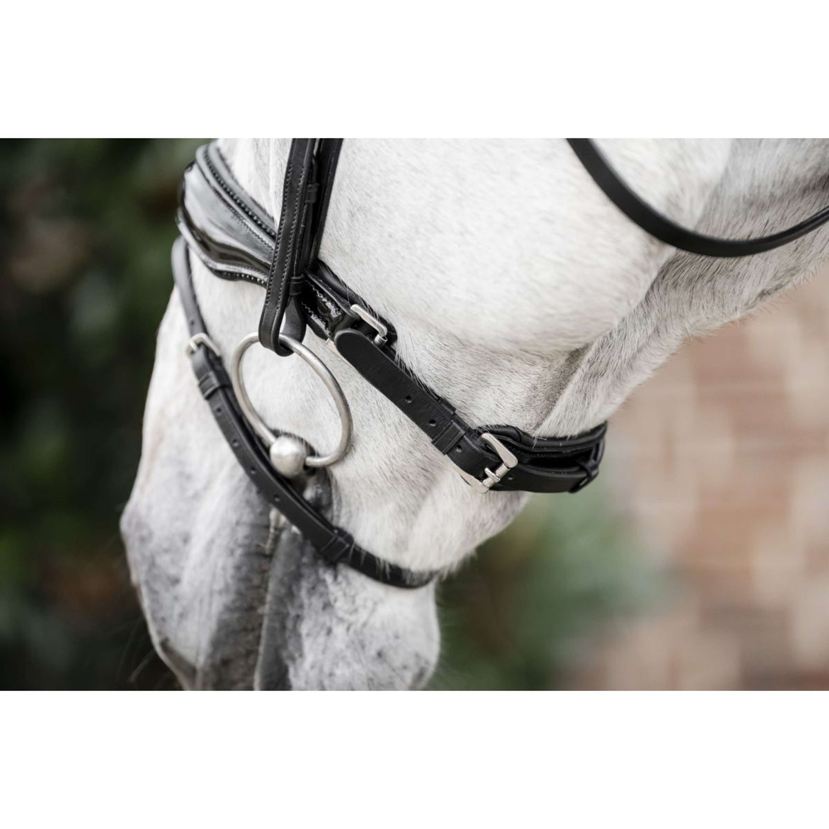 Horseware Briglia Diamante Nero