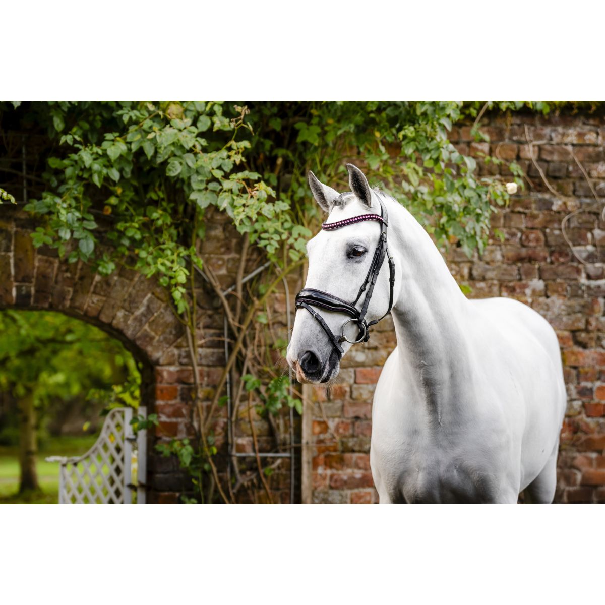 Horseware Briglia Pony Diamante Flash Nero/Rosa