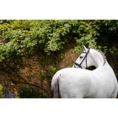 Horseware Briglia Pony Diamante Flash Nero/Rosa