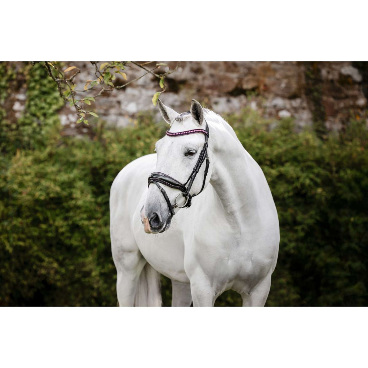 Horseware Briglia Pony Diamante Flash Nero/Rosa