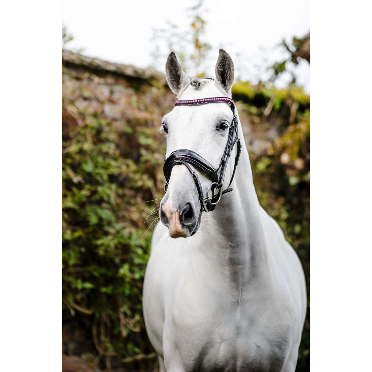 Horseware Briglia Pony Diamante Flash Nero/Rosa