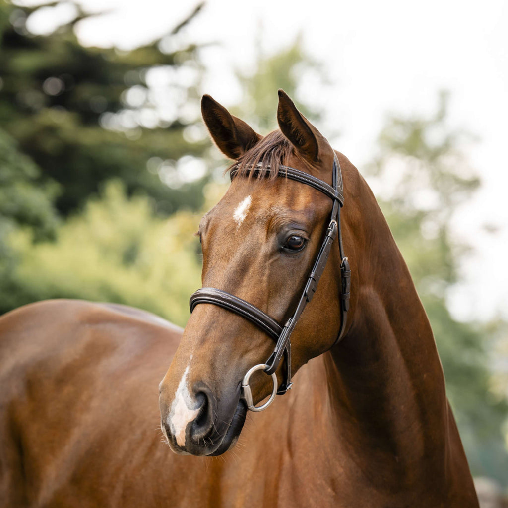 Horseware Briglia Hunter Havana Brown