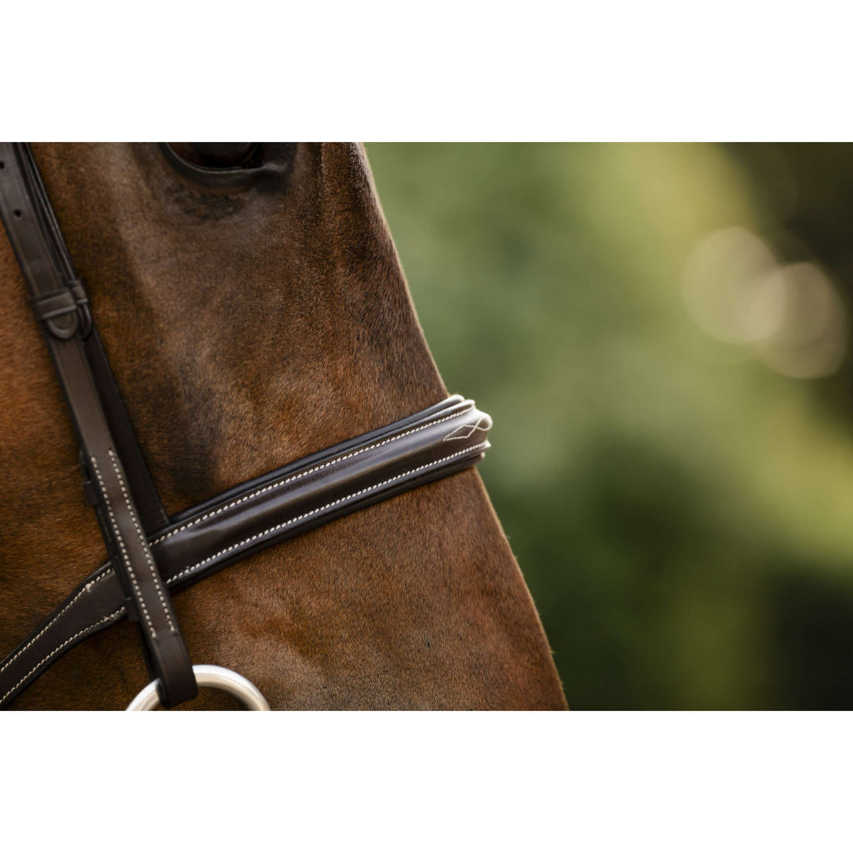 Horseware Briglia Hunter Havana Brown
