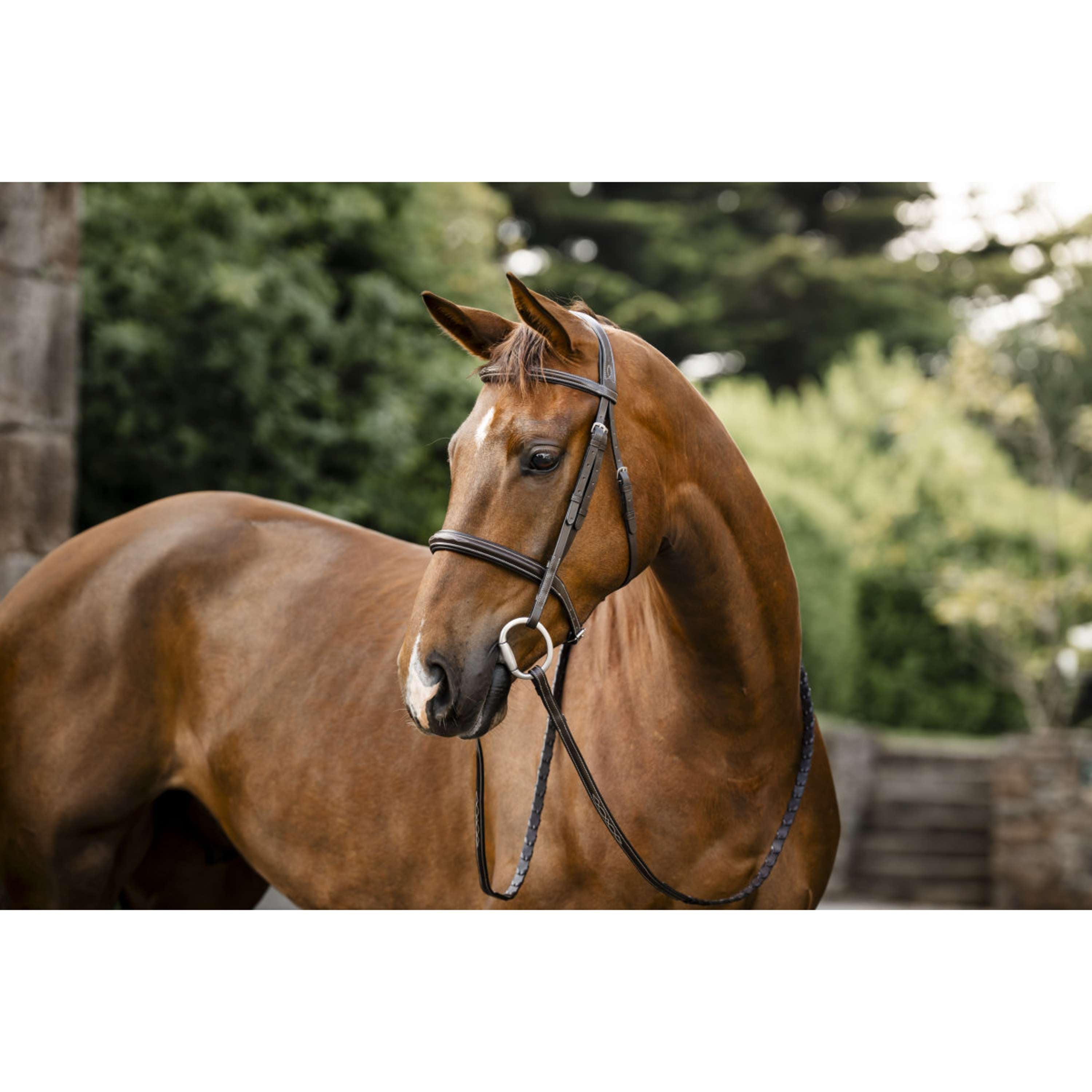 Horseware Briglia Hunter Havana Brown