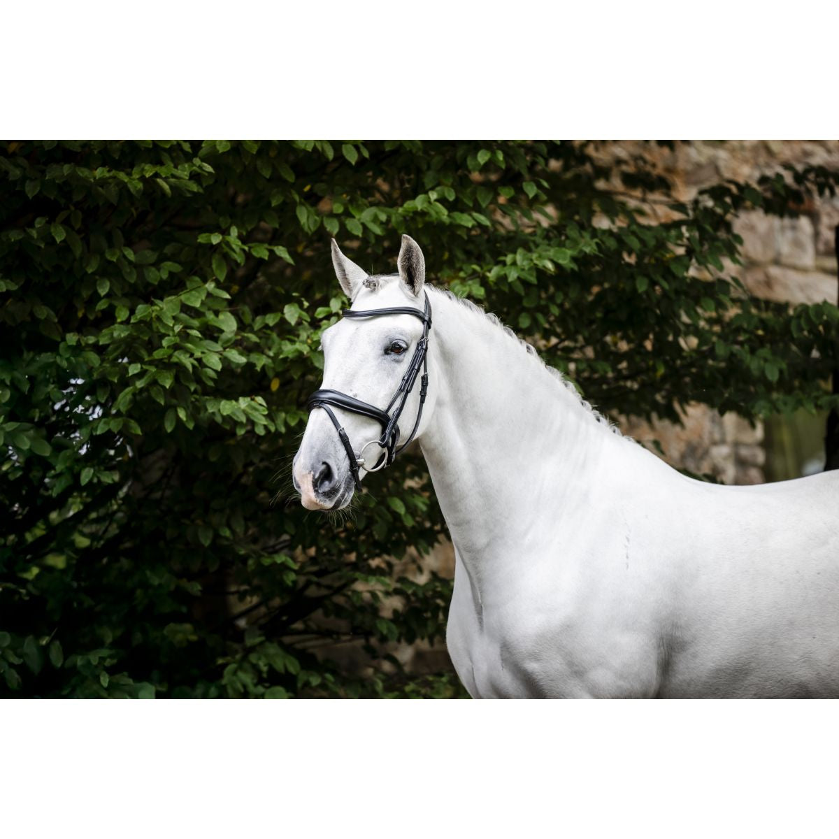 Horseware Briglia Pony Flash Nero