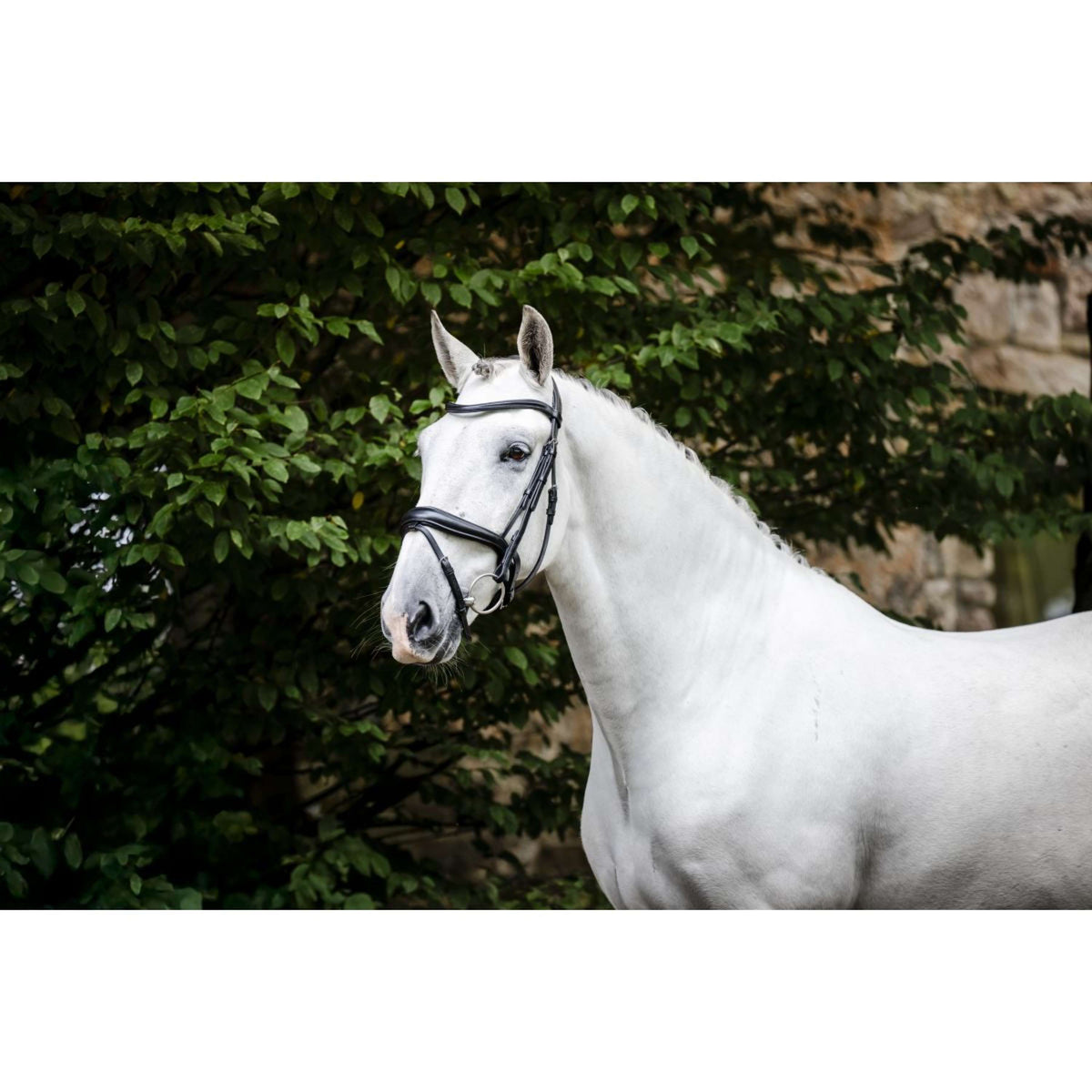 Horseware Briglia Pony Flash Nero