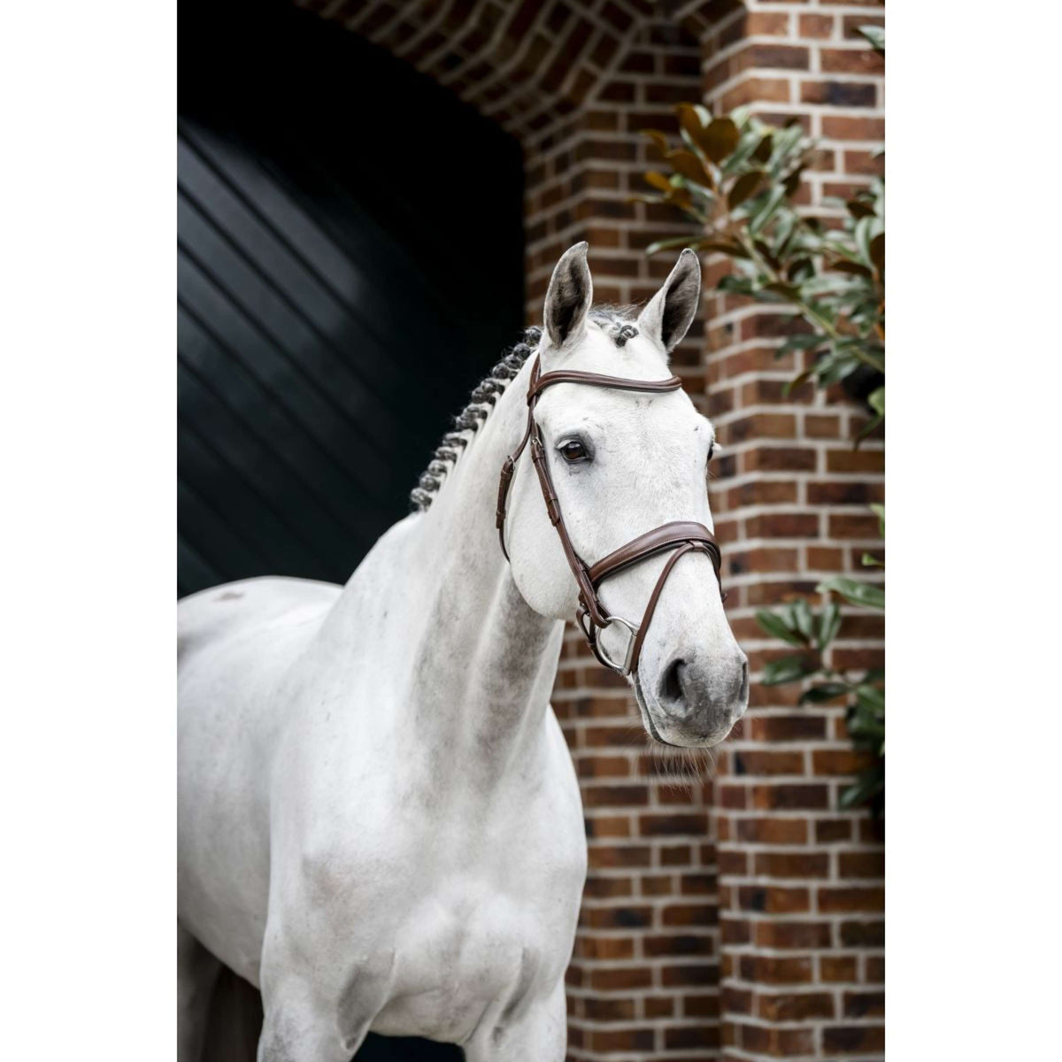 Horseware Briglia Pony Flash Marrone