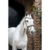 Horseware Briglia Pony Flash Marrone