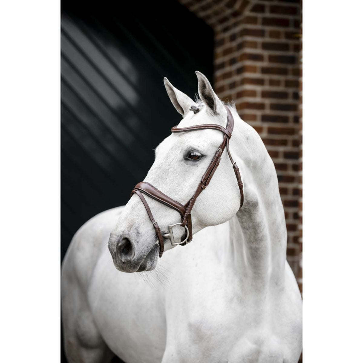 Horseware Briglia Pony Flash Marrone