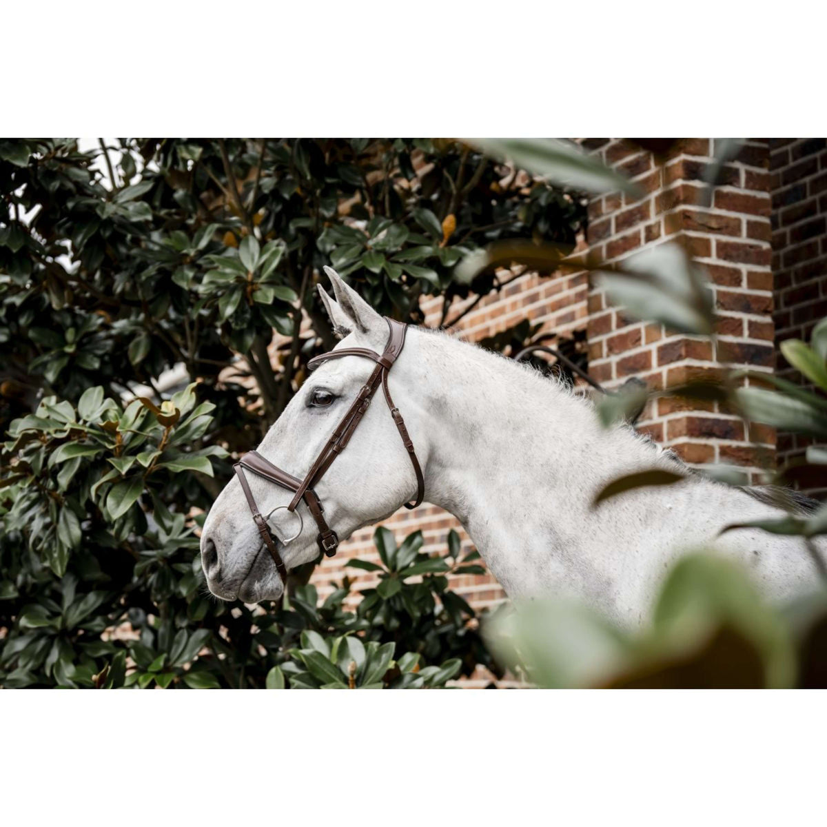 Horseware Briglia Pony Flash Marrone
