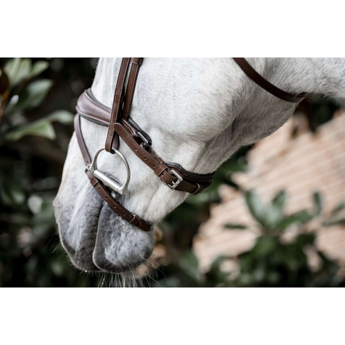 Horseware Briglia Pony Flash Marrone