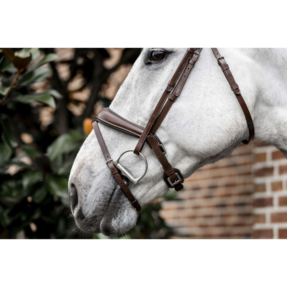 Horseware Briglia Pony Flash Marrone