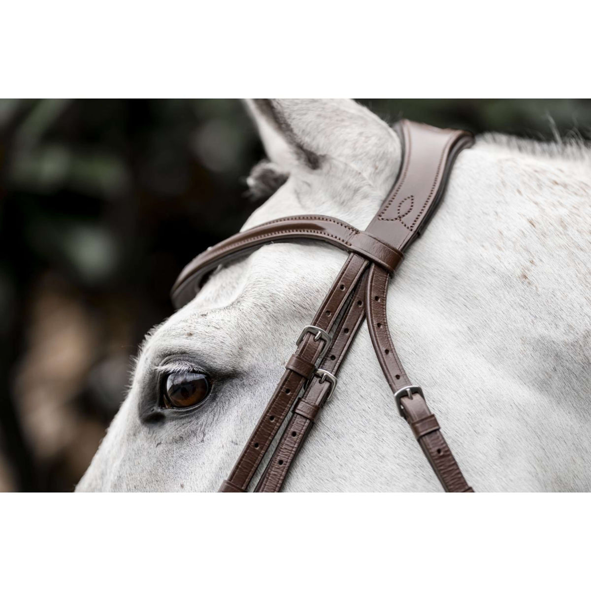 Horseware Briglia Pony Flash Marrone