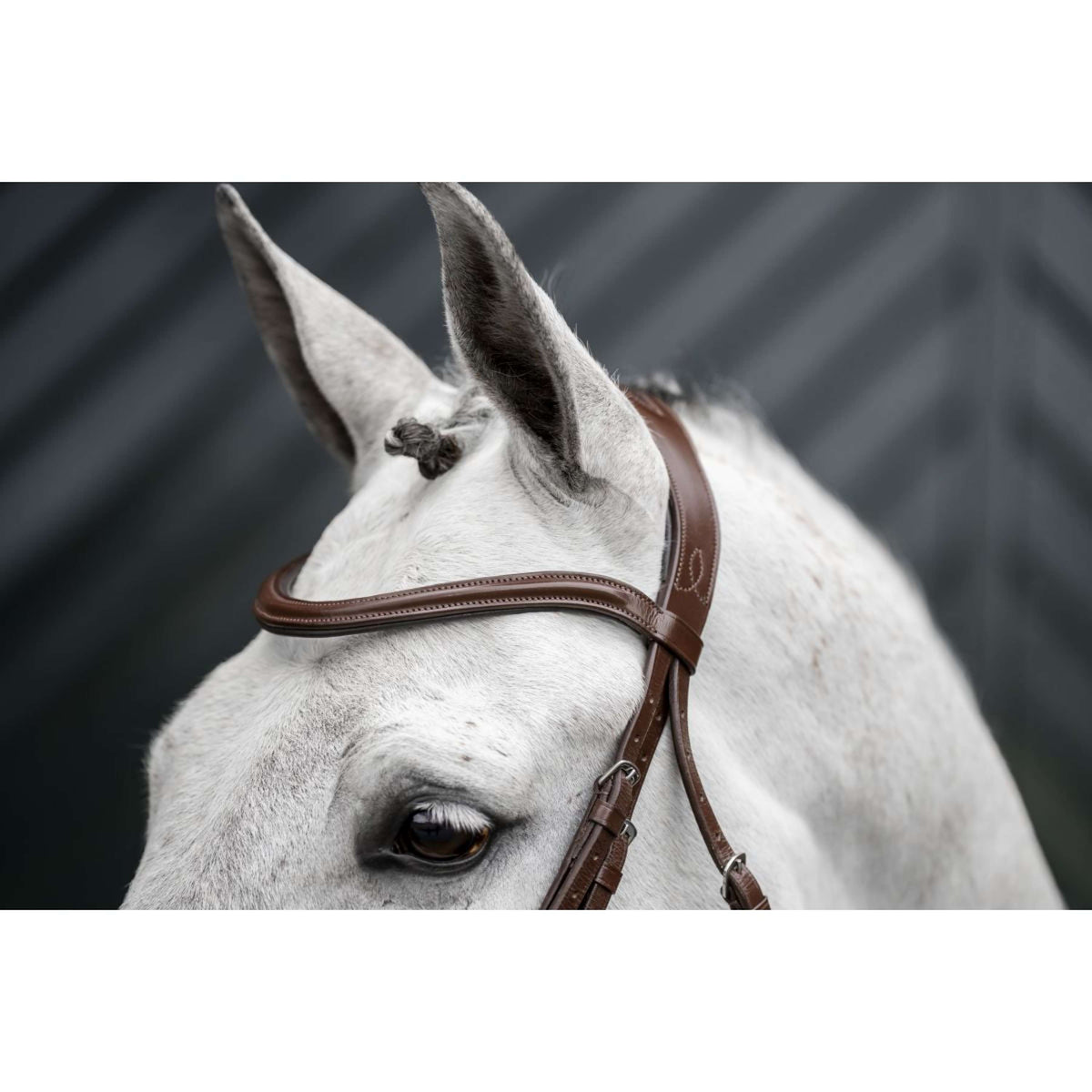 Horseware Briglia Pony Flash Marrone