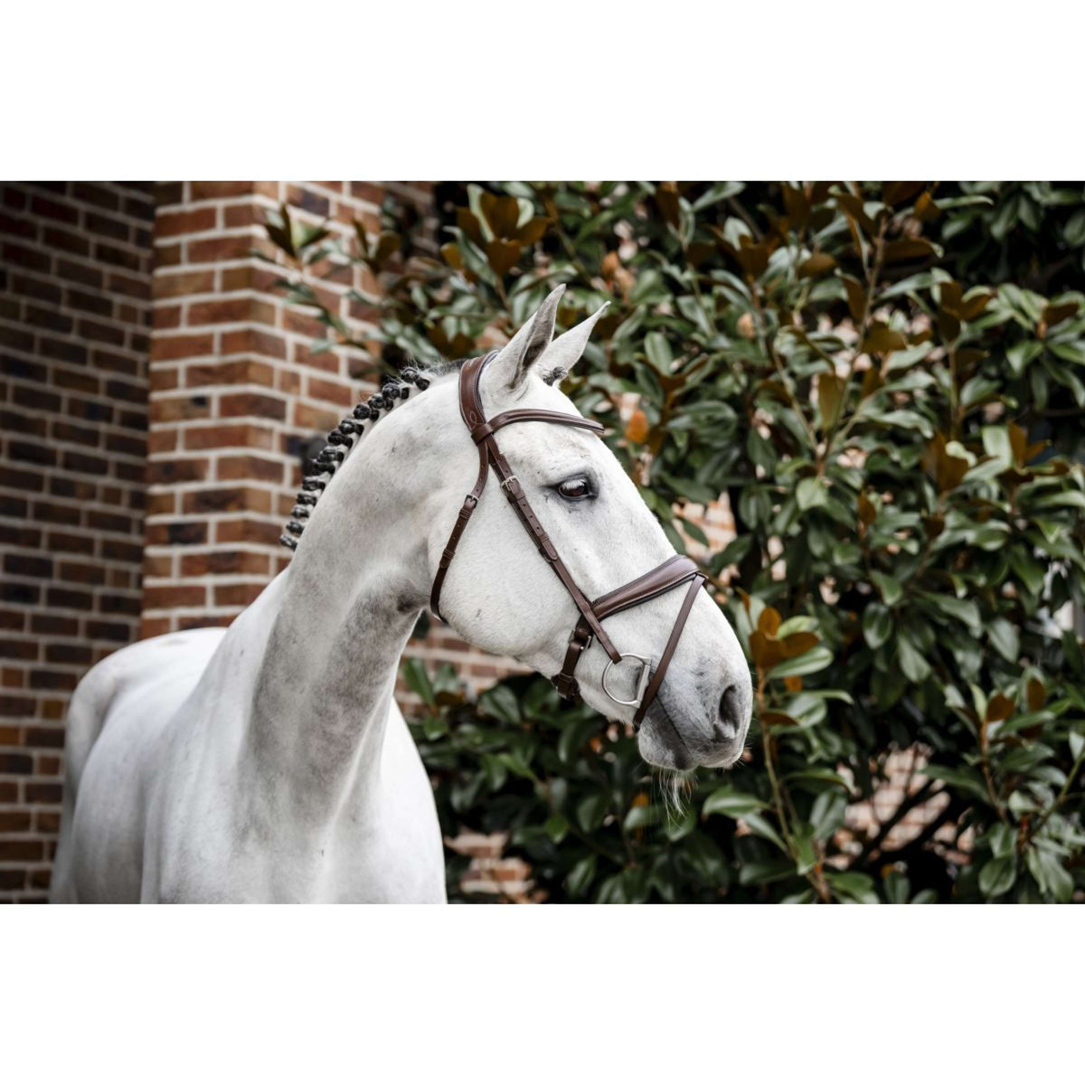 Horseware Briglia Pony Flash Marrone