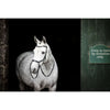 Horseware Micklem Bitless Bridle Nero