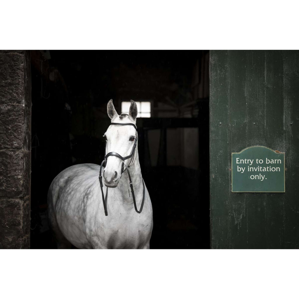 Horseware Micklem Bitless Bridle Nero