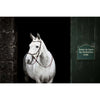 Horseware Micklem Bitless Bridle Marrone