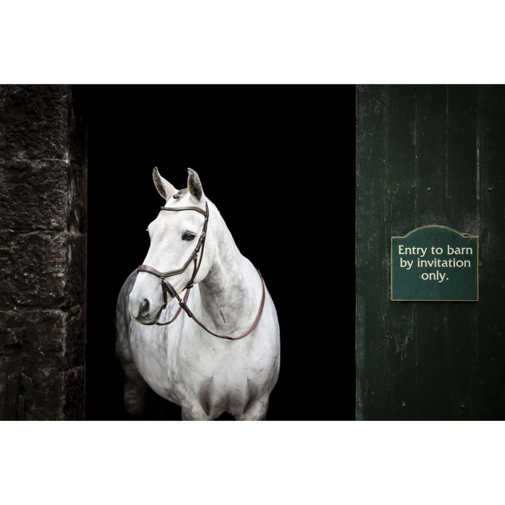 Horseware Micklem Bitless Bridle Marrone