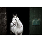 Horseware Micklem Bitless Bridle Marrone