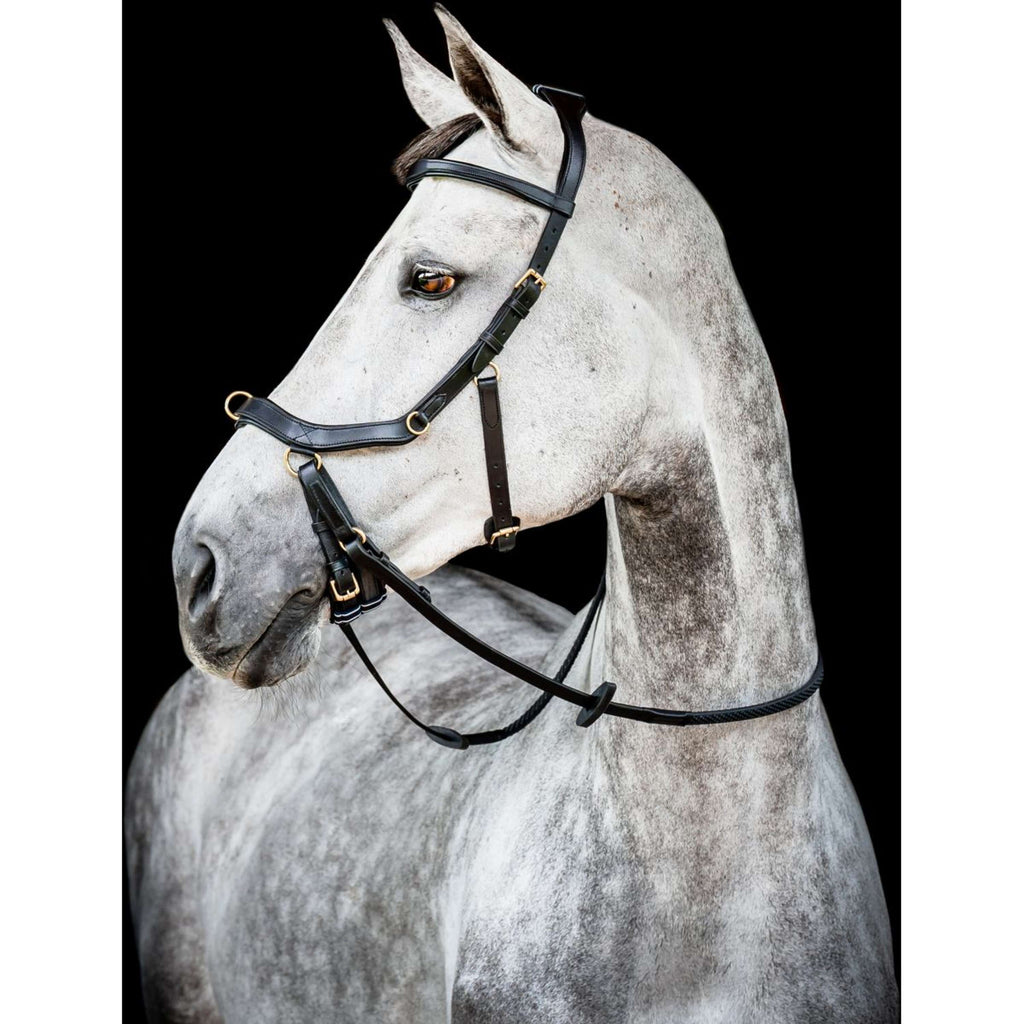 Horseware Briglia multipla Micklem New Nero