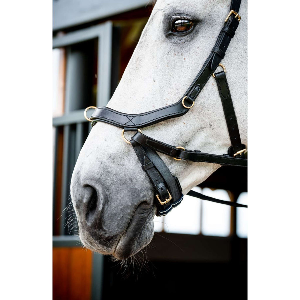 Horseware Briglia multipla Micklem New Nero