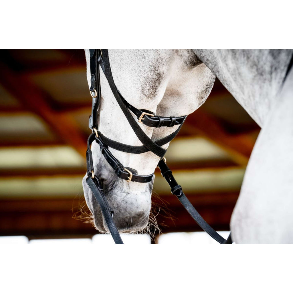 Horseware Briglia multipla Micklem New Nero