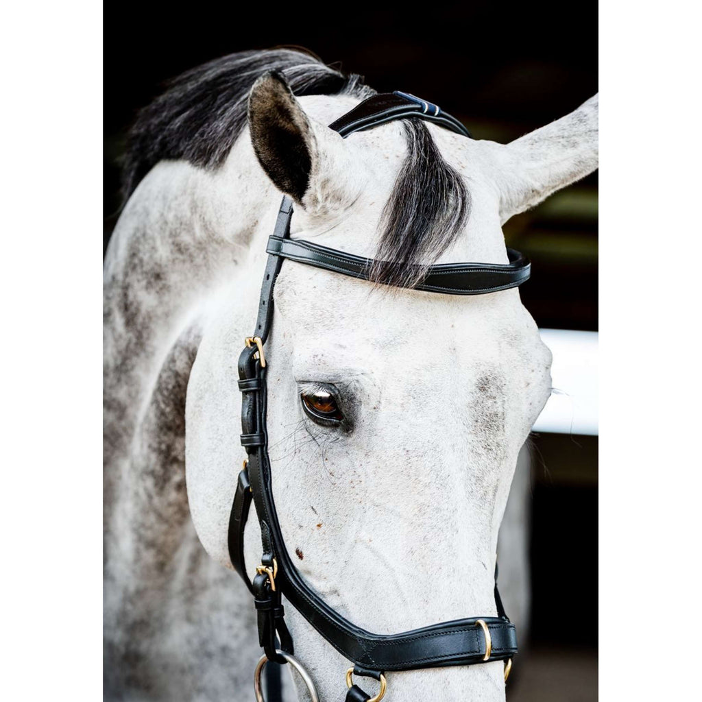 Horseware Briglia multipla Micklem New Nero