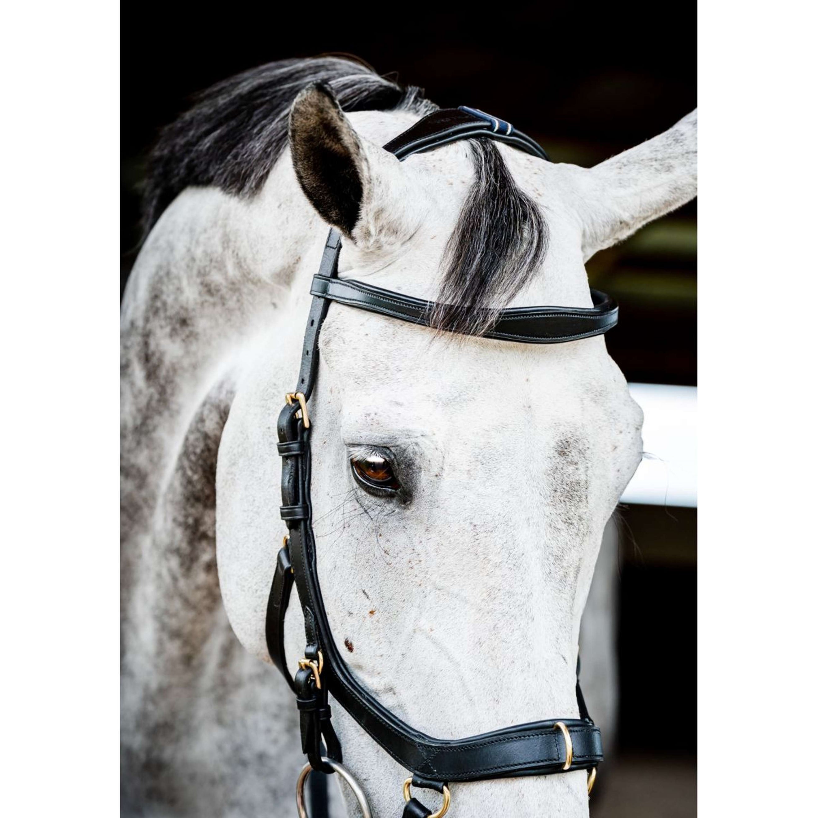 Horseware Briglia multipla Micklem New Nero