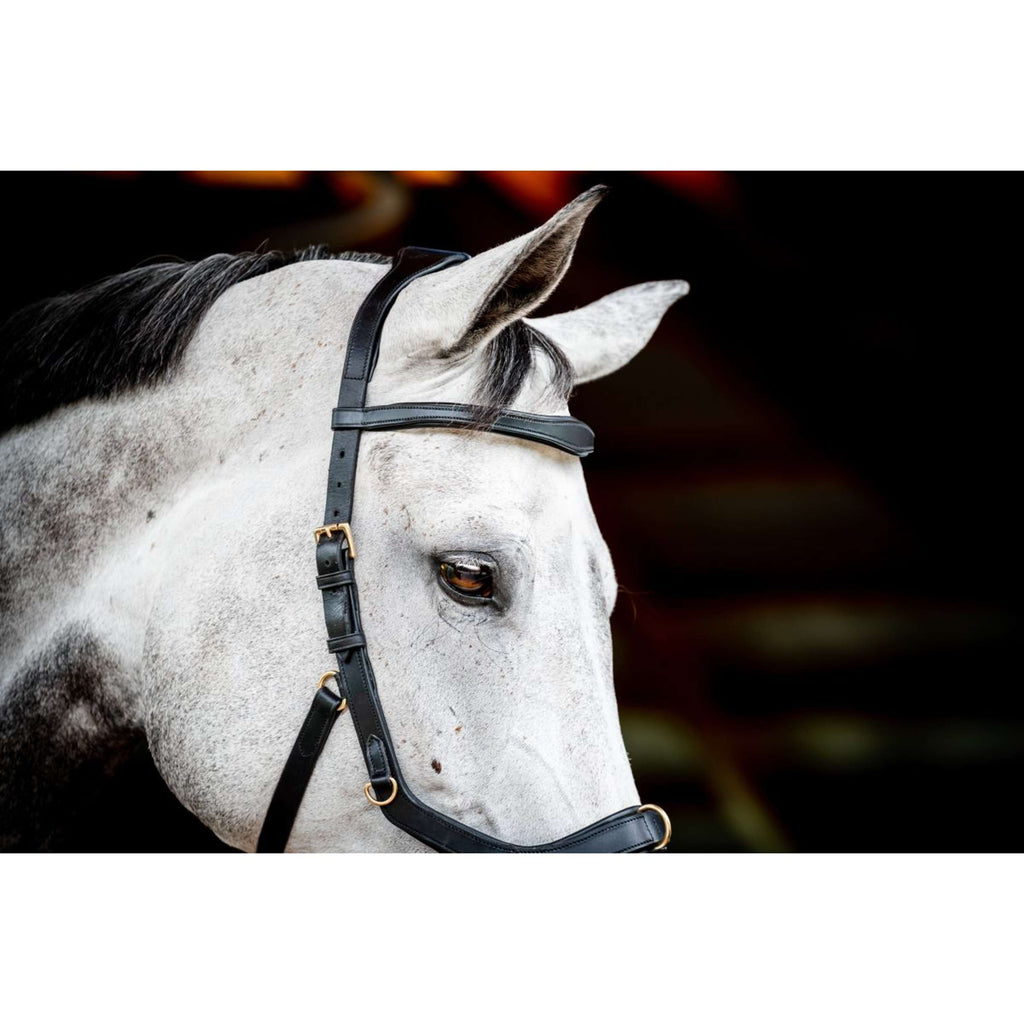 Horseware Briglia multipla Micklem New Nero
