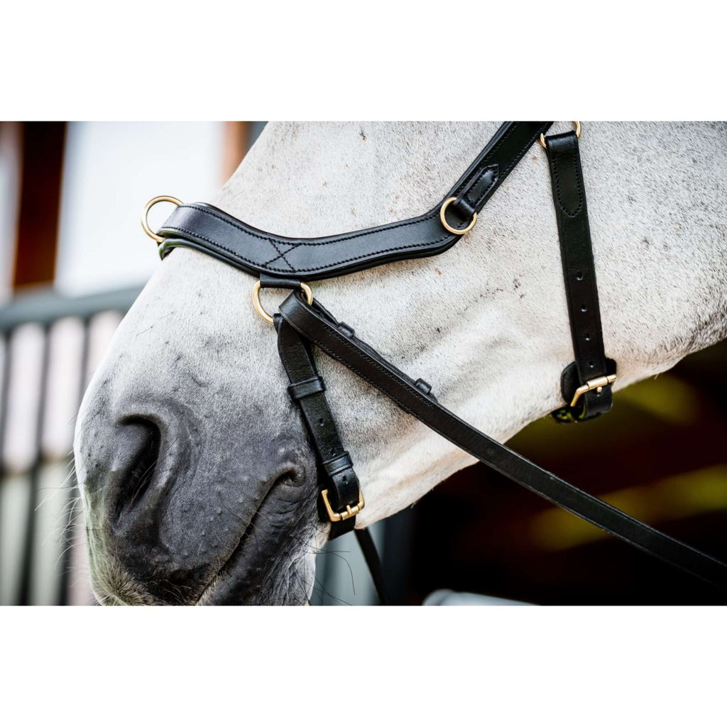 Horseware Briglia multipla Micklem New Nero