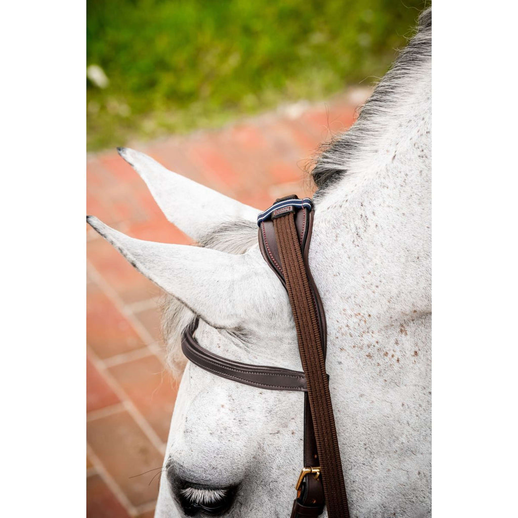 Horseware Briglia multipla Micklem New Dark Havana