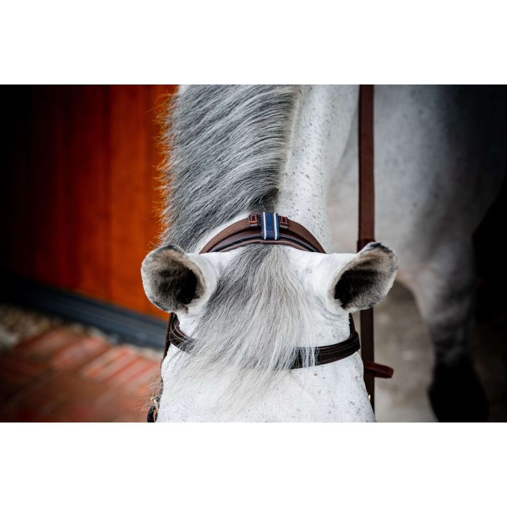 Horseware Briglia multipla Micklem New Dark Havana
