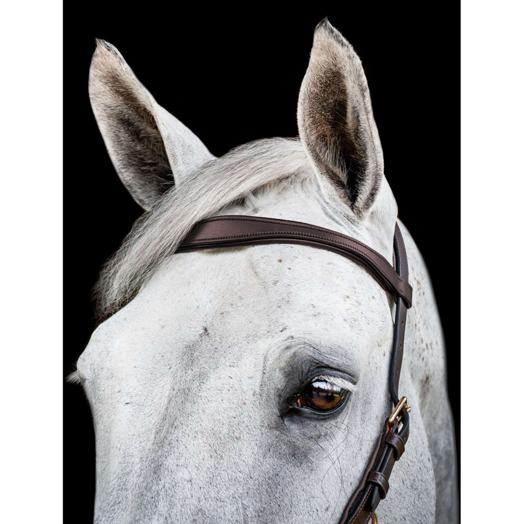 Horseware Briglia multipla Micklem New Dark Havana