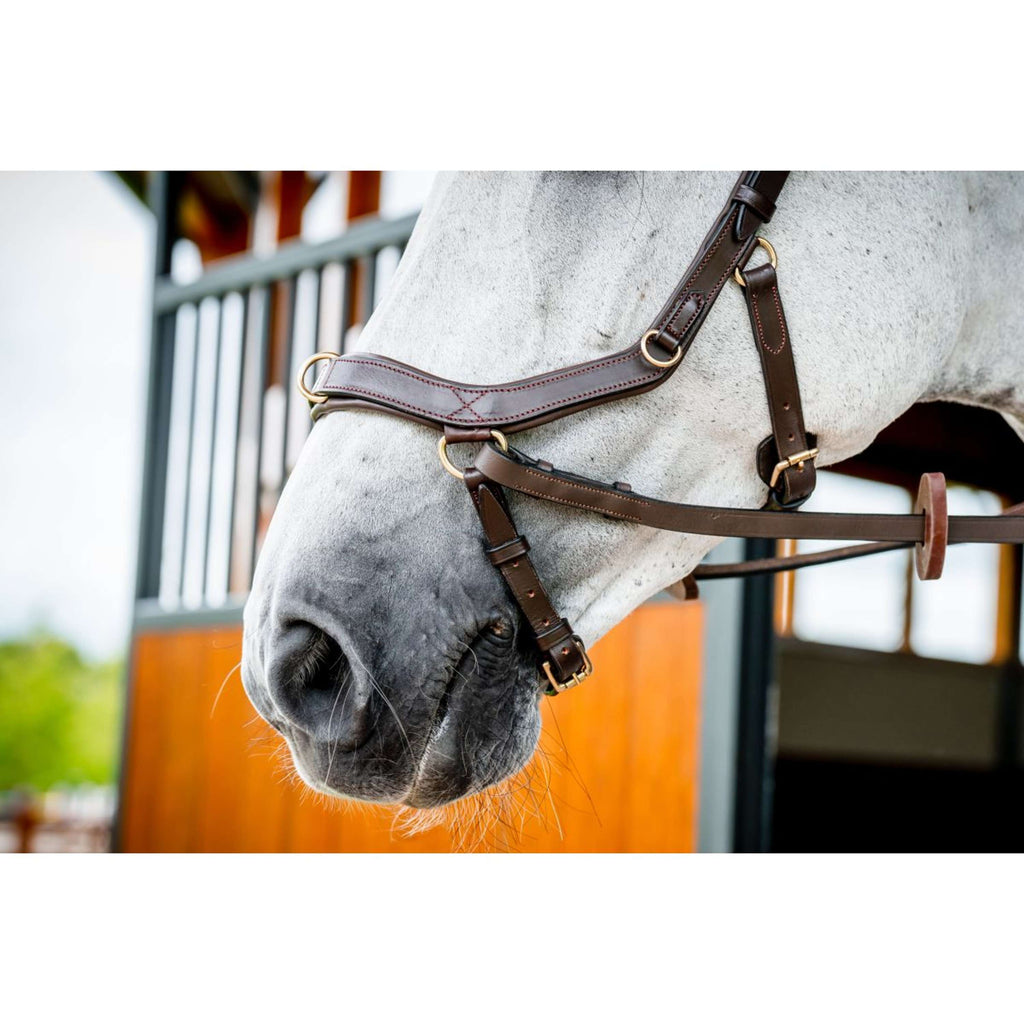 Horseware Briglia multipla Micklem New Dark Havana