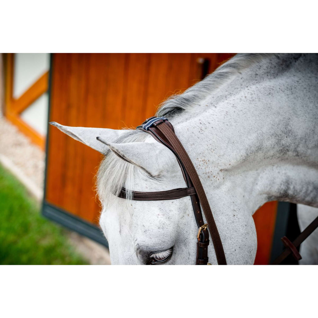 Horseware Briglia multipla Micklem New Dark Havana