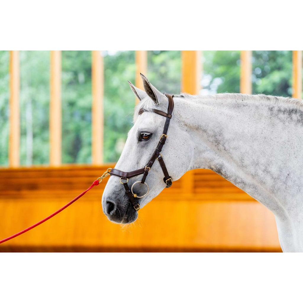 Horseware Briglia multipla Micklem New Dark Havana
