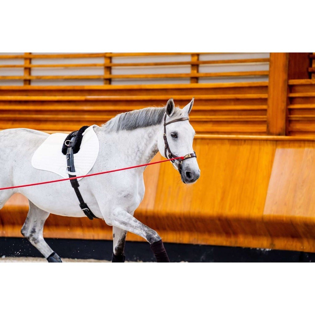 Horseware Briglia multipla Micklem New Dark Havana
