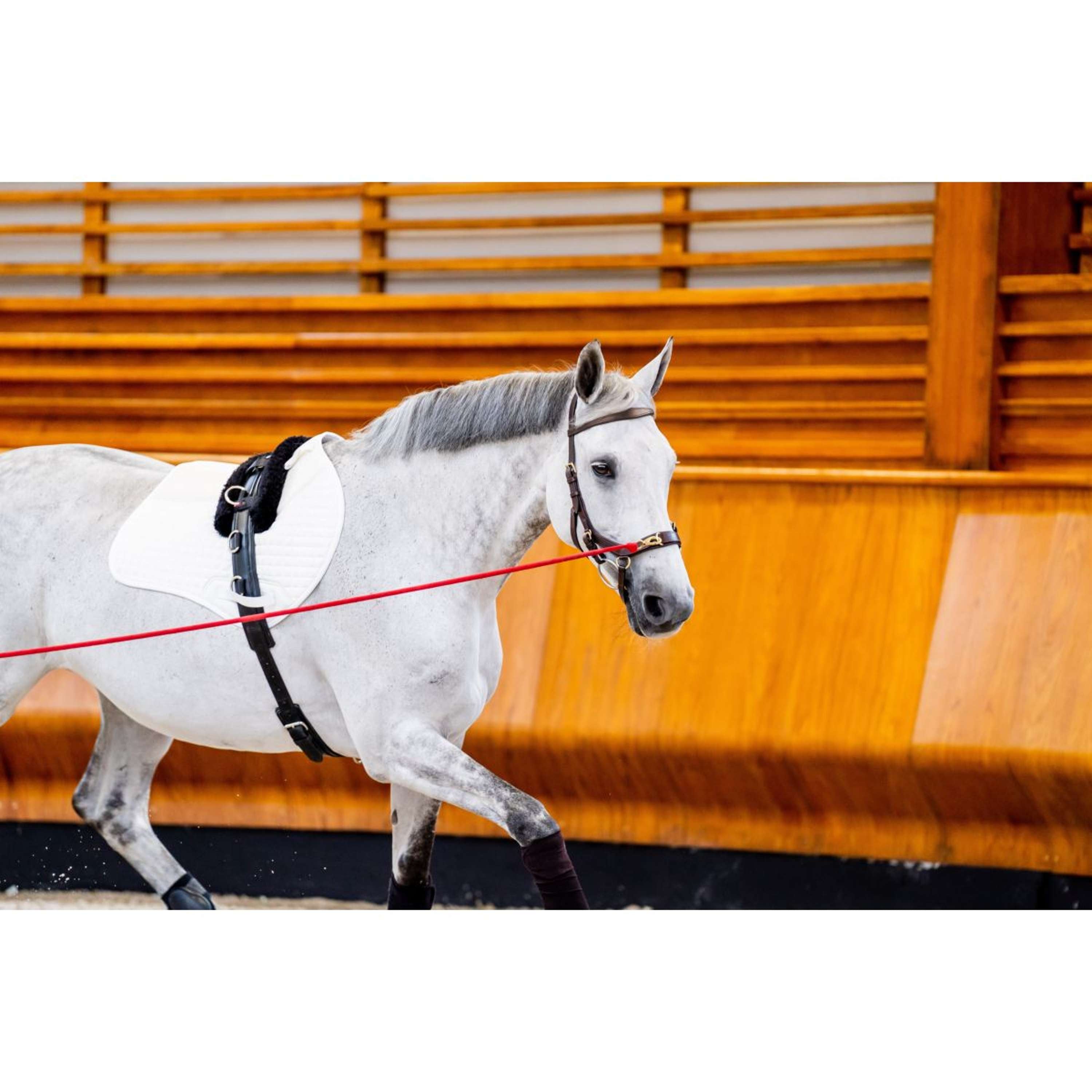 Horseware Briglia multipla Micklem New Dark Havana