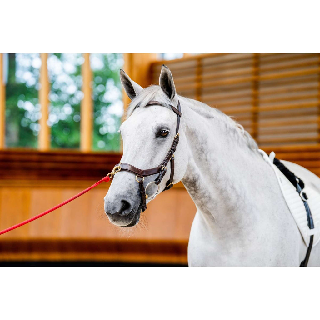Horseware Briglia multipla Micklem New Dark Havana