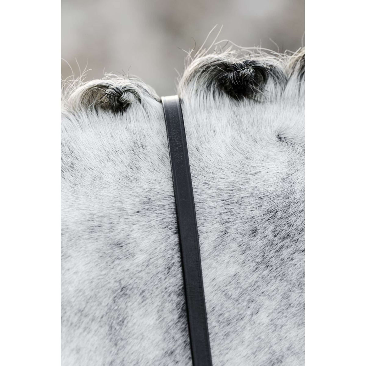 Horseware Redini Nero