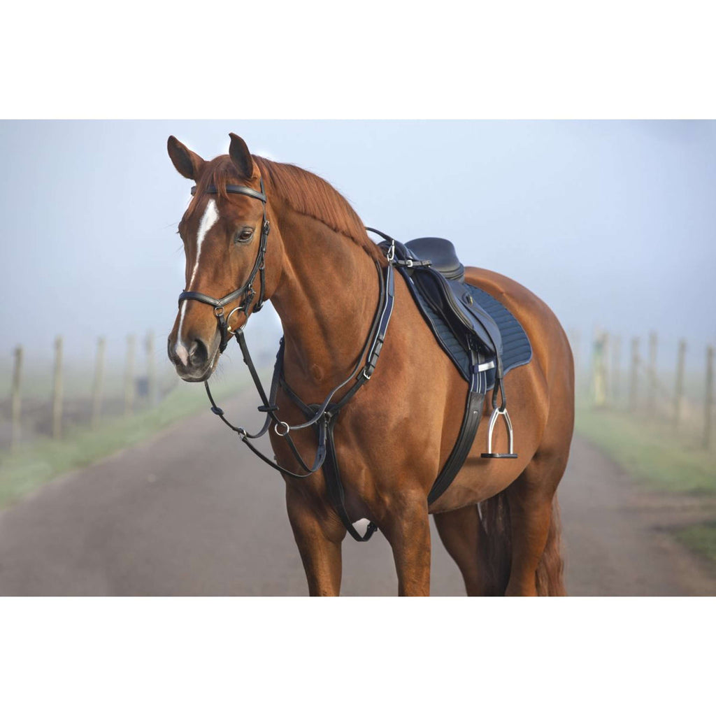Horseware Micklem Pettorina con martingala Nero